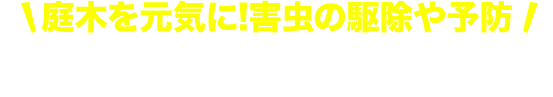 殺虫消毒もお任せください