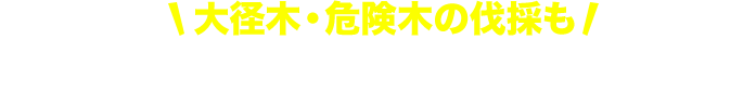 大径目の枝打ちもお任せください。