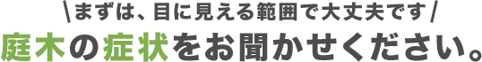 庭木の症状をお聞かせください。